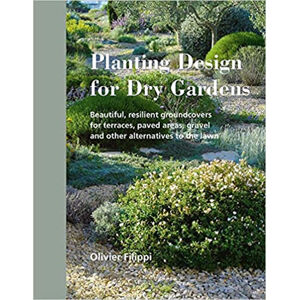 Planting Design for Dry Garden - neuveden