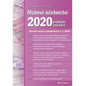 Mzdové účetnictví 2020 - praktický průvodce - Vybíhal Václav