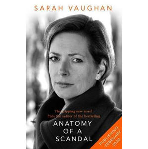 Little Disasters : from the bestselling author of Anatomy of a Scandal - Vaughanová Sarah