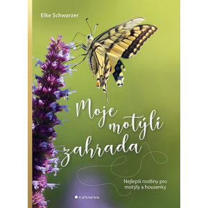Moje motýlí zahrada - Nejlepší rostliny pro motýly a housenky - Schwarzer Elke