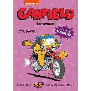 Garfield to smaží (č. 55) - Davis Jim
