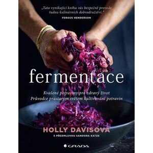 Fermentace - Kvašené potraviny pro zdravý život - Davisová Holly