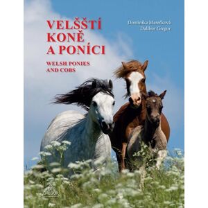 Velšští koně a poníci / Welsh Ponies and Cobs - Marečková Dominika, Gregor Dalibor,