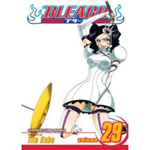 Bleach 29 (anglicky) - Kubo Tite