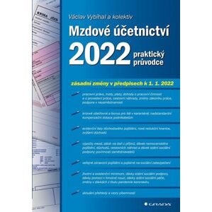 Mzdové účetnictví 2022 - praktický průvodce - Vybíhal Václav