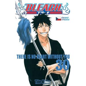 Bleach 30: There is no heart without you - Kubo Tite