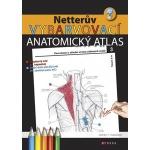 Netterův vybarvovací anatomický atlas - John T. Hansen