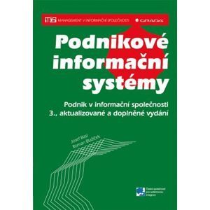 Podnikové informační systémy - Basl Josef, Blažíček Roman