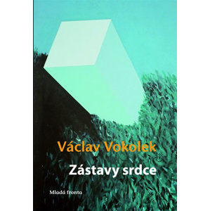 Zástavy srdce - Vokolek Václav