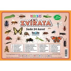 Zvířata hmyz - Sada 24 karet - Kupka Petr a kolektiv